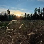 Marta Veselí nad Lužnicí